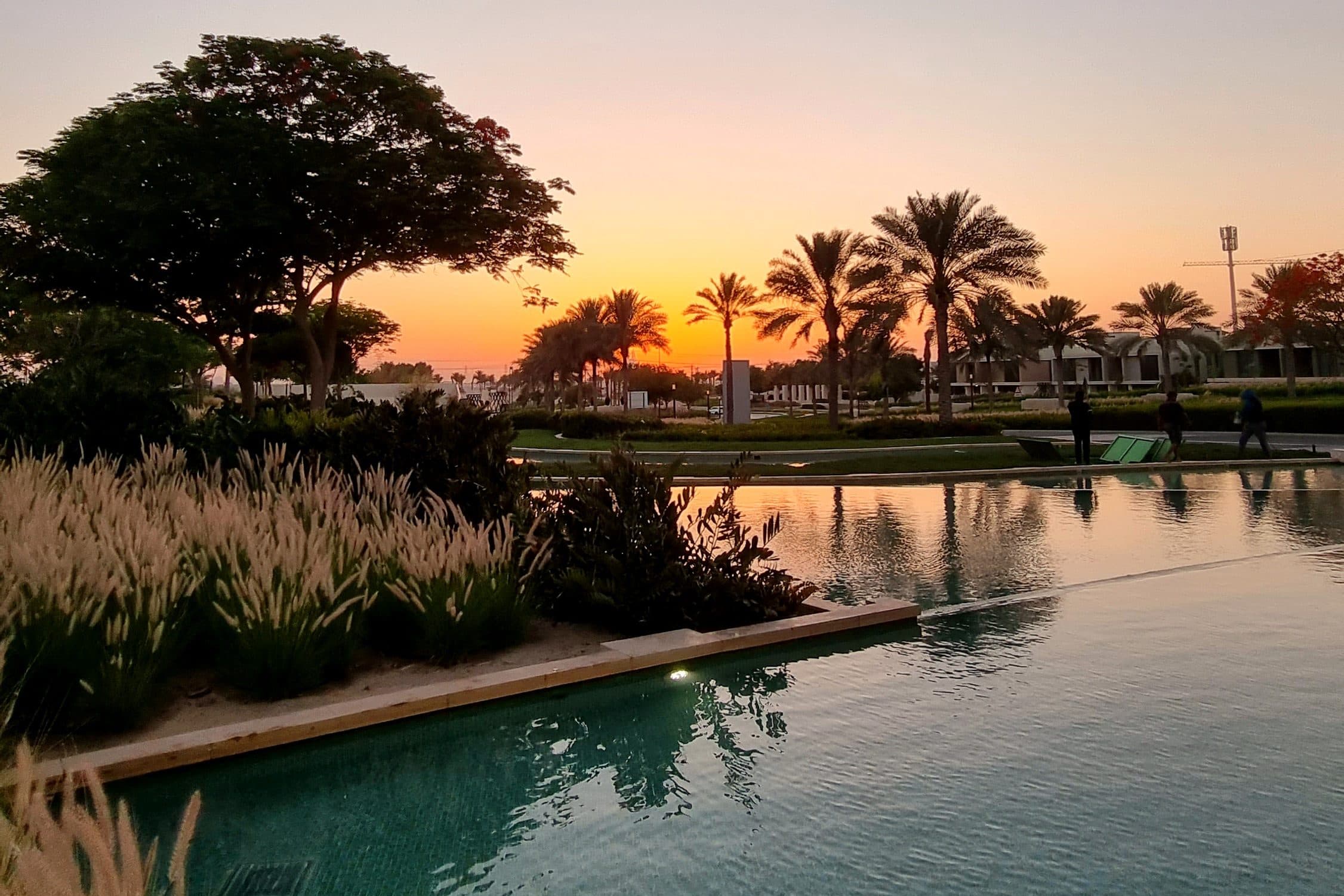 Palms and a reflecting pool at sunset in Dubai Hills
